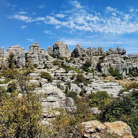 Luxury tent Cactus Hill - Safari Tents - Caminito Del Rey